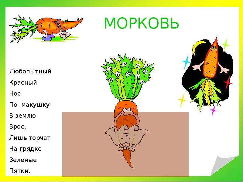 Морковь схема слова