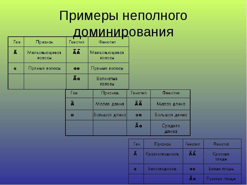 Презентация на тему неполное доминирование