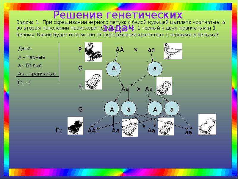 Схема скрещивания биология