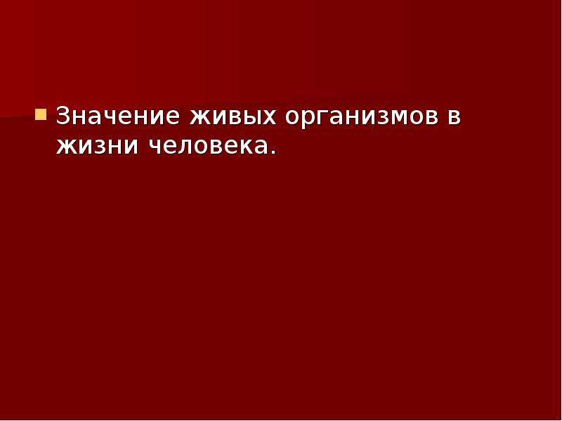 Презентация значение живых организмов в природе и жизни человека 5 класс пономарева