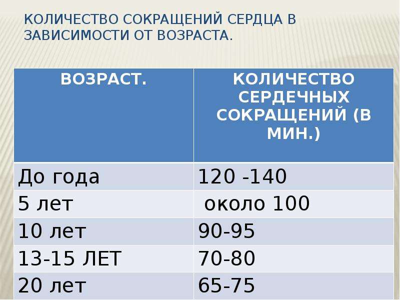 1 сердечное сокращение. Количество сердечных сокращений. Число сокращений сердца в норме. Это количество сердечных сокращений в минуту. Число сокращений сердца в сутки.
