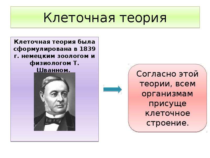 Клеточную теорию сформулировали. Клеточная теория 1839. Клеточная теория была сформулирована. Клеточная теория теория сформулирована.