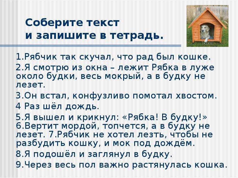 3 окна слова. Из окна текст. Рябчик так скучал что рад был кошке. Окно для текста. Сформулировать тему и основную мысль Рябка и кошка.