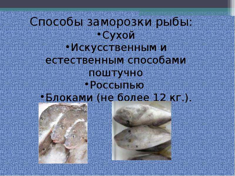 Презентация  Соление рыбы. Мороженная рыба., слайд №15