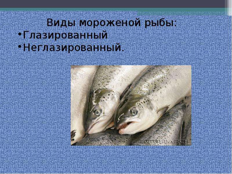 Презентация  Соление рыбы. Мороженная рыба., слайд №18
