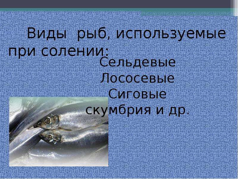 Презентация  Соление рыбы. Мороженная рыба., слайд №3