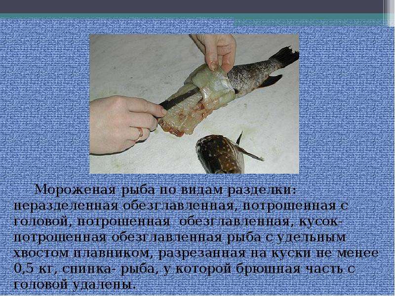 Презентация  Соление рыбы. Мороженная рыба., слайд №22