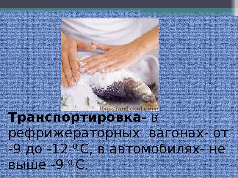 Презентация  Соление рыбы. Мороженная рыба., слайд №24