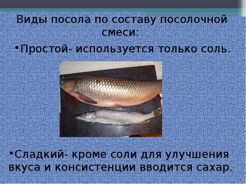Презентация  Соление рыбы. Мороженная рыба., слайд №10