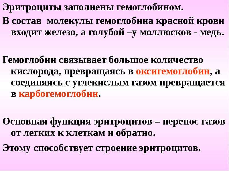 Железо входит в состав гемоглобина