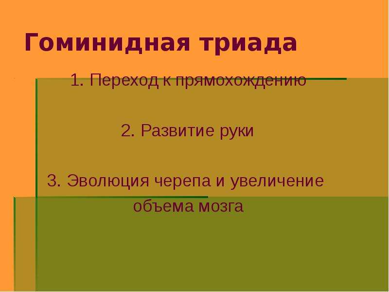 Философское учение отрицающее роль разума в познании и выдвигающее на первый план иные виды