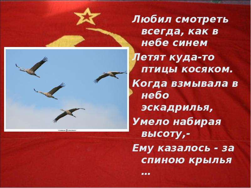 Все характеристики предложения как высоко летят птицы. Почему птицы летают косяком. Почему птицы летят косяком. Когда птицы летят косяком. Почему птицы улетают косяком.