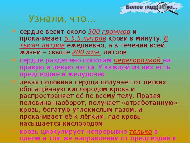 Литры в минуту. Сколько литров крови перекачивает сердце. В течении 1 минуты сердце прокачивает литров крови. В течении 5 минут сердце прокачивает литров крови. Сколько литров крови качает сердце в минуту.