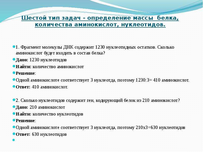 6 вид. Сколько аминокислот в нуклеотиде. Сколько нуклеотидов в ДНК. Количество нуклеотидов кодирующих белок. Белок состоит из нуклеотидов.