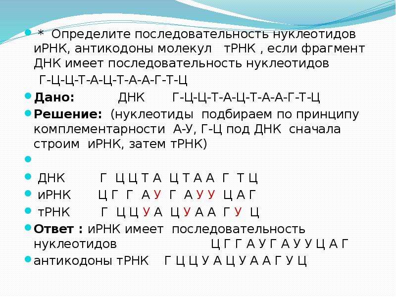 Фрагмент цепи и рнк имеет последовательность нуклеотидов. Принцип комплементарности ДНК И РНК ТРНК. Задачи по биологии на комплементарность ДНК И РНК Т РНК. ДНК ИРНК ТРНК задачи. Транскрипция ДНК И-РНК по принципу комплементарности.