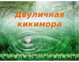 Двуличная кикимора
