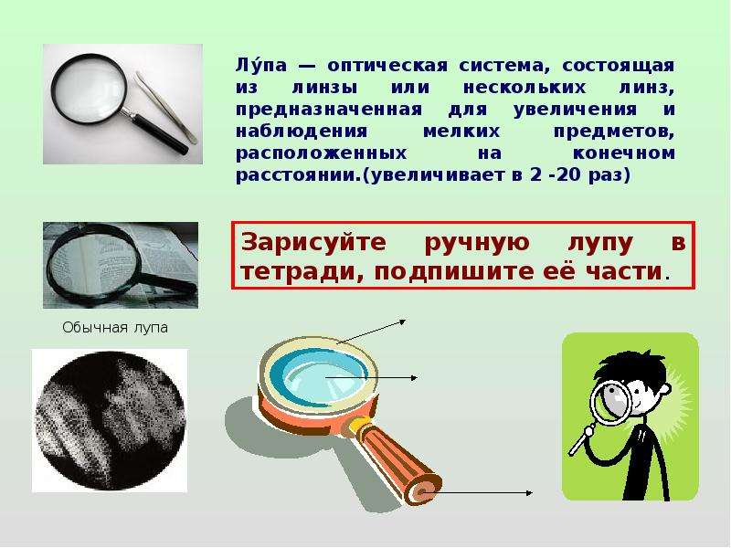 Ручная лупа строение. Строение лупы. Лупа строение и функции. Информация о увеличительных приборах. Оптический прибор лупа строение.