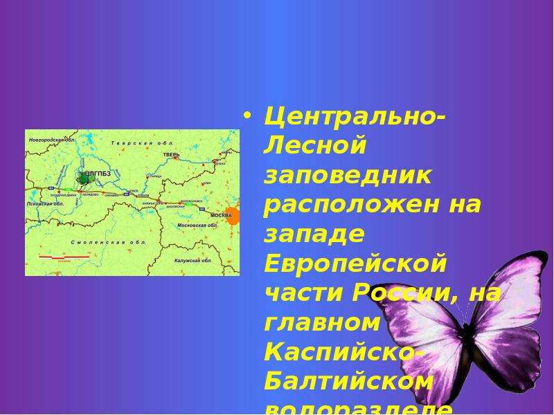 Заповедник центр. Заповедники центральной России. Биосферные заповедники центральной России. Биосферный заповедник в России в европейской части России. Заповедники расположенные на русской равнине.