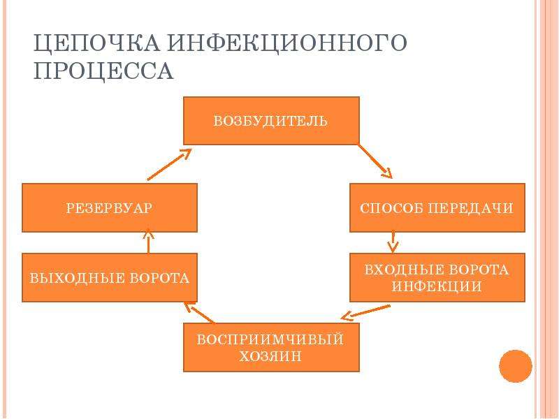 Презентация по осд