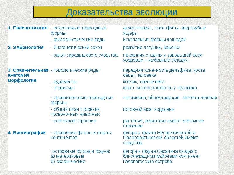 Доказательства эволюции 11. Таблица доказательства эволюции характеристика примеры. Доказательства эволюции сущность примеры таблица. Таблица доказательство эволюции органического мира таблица. Доказательства эволюции Естественные науки доказательства таблица.