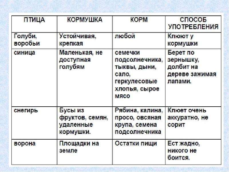 Чем кормить синичек зимой в кормушке. Чем кормить синиц зимой в кормушке таблица. Чем кормить птиц зимой в кормушках таблица. Чем подкормить птиц зимой в кормушке таблица. Чем кормить синиц и Воробьев зимой в кормушке.