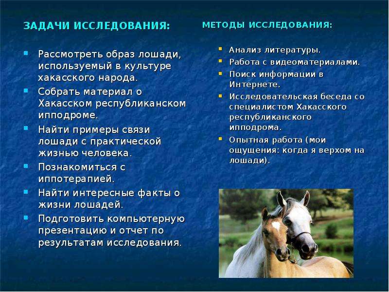 Сообщение о лошади 3 класс. Роль лошади в жизни человека. Использование лошадей человеком. Доклад на тему лошадь. Лошади в жизни человека презентация.