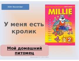 У меня есть кролик