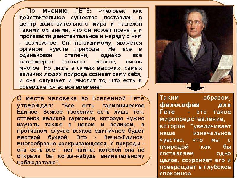 Гете век. Иоганн Вольфганг гёте идеи Просвещения. Вольфганг Гете основные идеи. Гете основная идея. Философия Шиллера кратко.