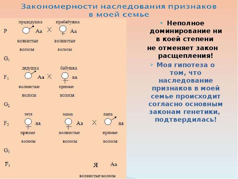 Как вы понимаете термин неполное доминирование. Неполное наследование признаков. Расщепление при полном и неполном доминировании. Расщепление признаков при неполном доминировании. Решение задач на наследование признаков при неполном доминировании.