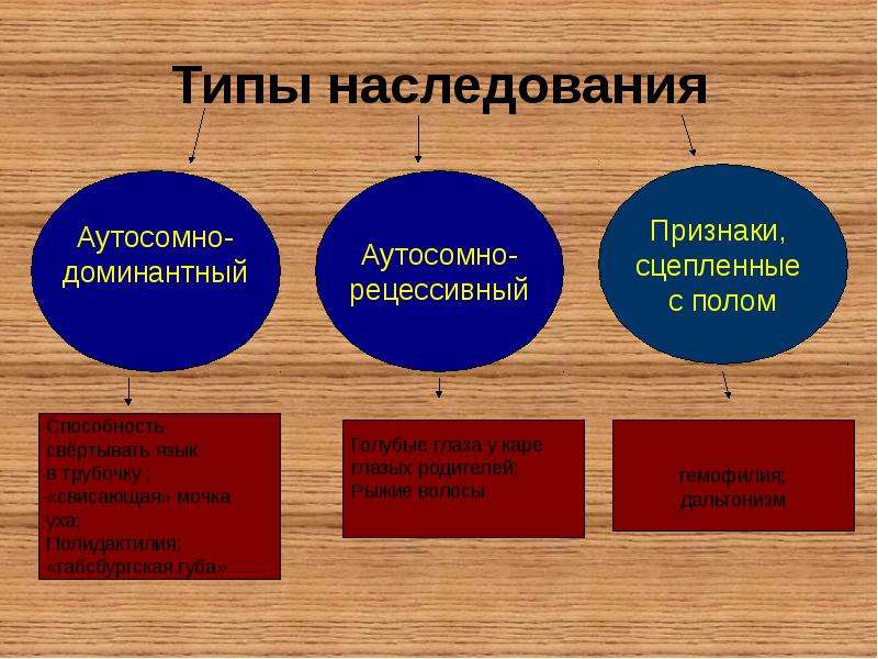 Виды наследования признаков. Типы наследования. Аутосомный Тип наследования. Аутосомальный Тип наследования. Типы наследования признаков.