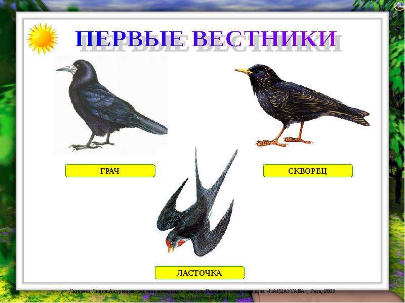 Перелетные птицы весной презентация для дошкольников