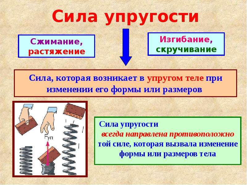 Исследование силы упругости 7 класс. Сила упругости. Сила упругостиособеннгости. Особенности силы упругости. Особенности силы упруго.