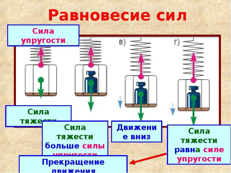 Равна ли сила. Сила упругости равна силе тяжести. Сила упругости сила тяжестт. Равновесие сил. Сила упругости равна.