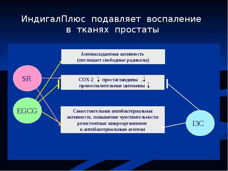 НИИ УРОНЕФРОЛОГИИ и РЕПРОДУКТИВНОГО ЗДОРОВЬЯ ЧЕЛОВЕКА. - презентация_, слайд №6