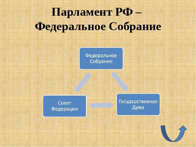 Схема российского парламента