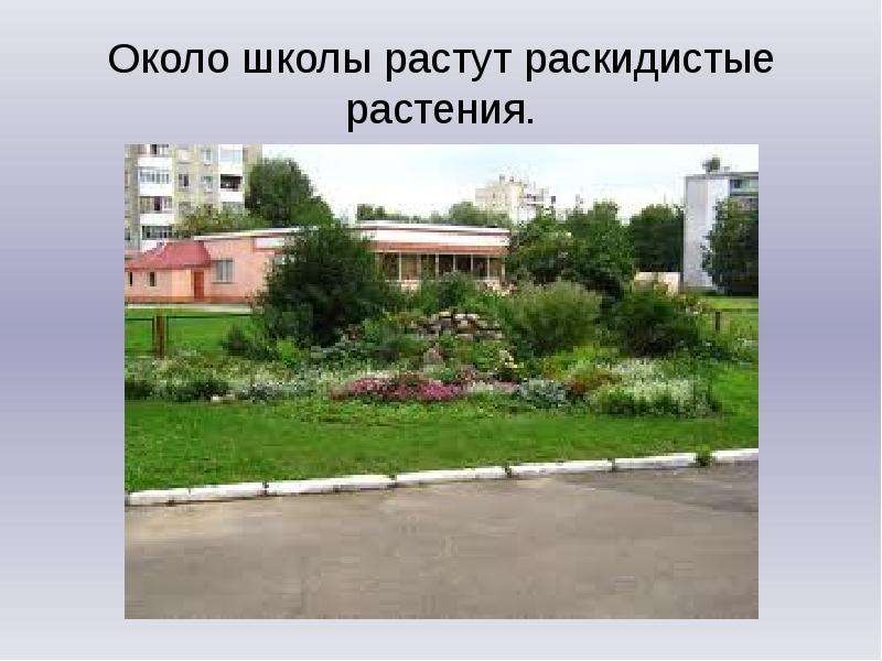 Двор Школы Фото