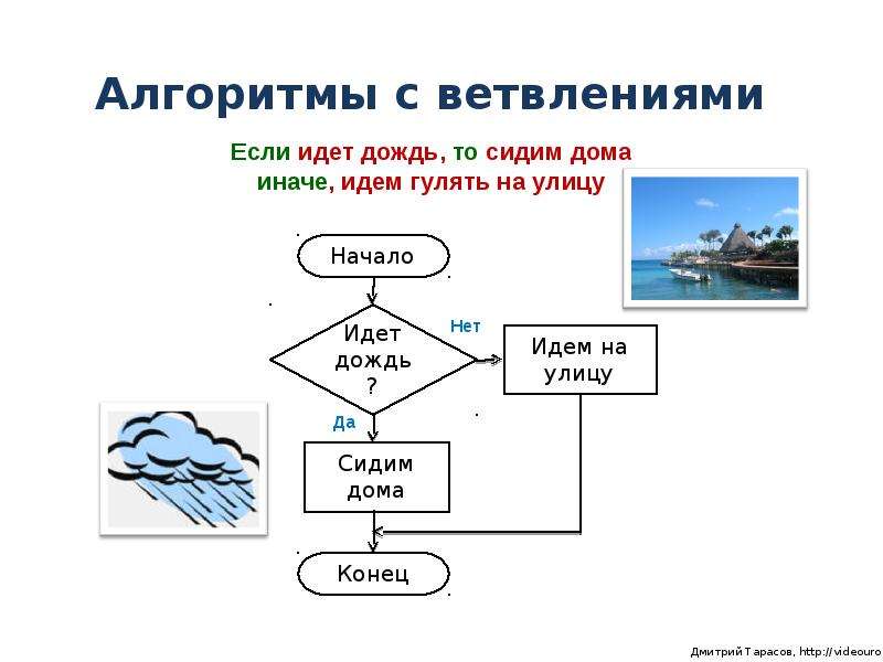 Блок схема с ветвлением примеры