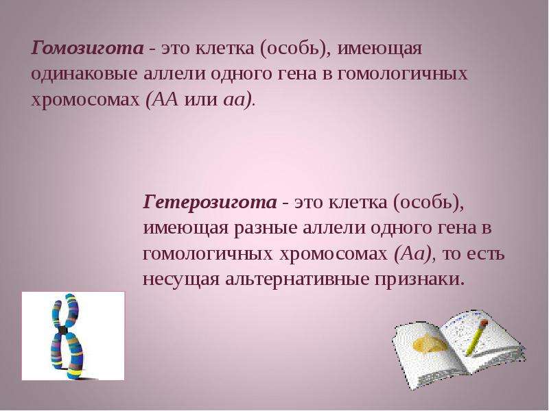 Гетерозигота. Гомозигота. Гомозигота и гетерозигота это. Одинаковые аллели одного Гена. Гомозиготность это в биологии.