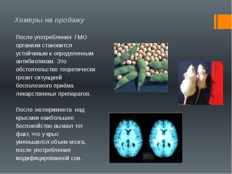 Презентация генетически модифицированные организмы