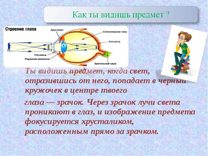 Видно предмет. Как свет проникает в глаз. Луч света проникает в глаз через. Свет отражается от предметов и попадает в глаз. Луч света отражаясь от предмета попадает в глаз.