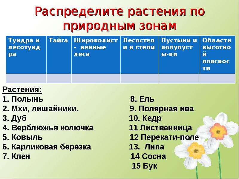 Растения и животные тест 2 класс. Задание распредели животных по природным зонам. Растения по природным зонам. Растения природных зон Росси. Распределение растений по природным зонам.