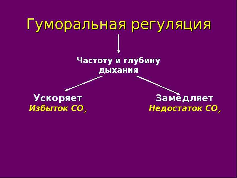 Зачем система. Кластер на тему дыхательная система. Кластер на тему дыхание. Кластер на тему дыхание человека. При гуморальной регуляции частоту и глубину дыхания замедляет.