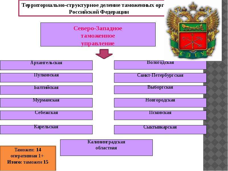 Организационная структура таможенных органов презентация