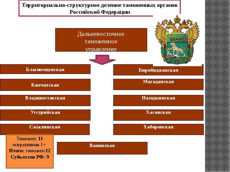 Схема таможенных органов рф