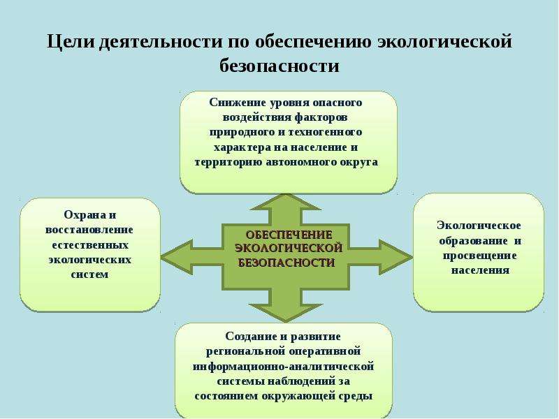 Обеспечивающий активности. Цели деятельности по обеспечению экологической безопасности. Способы достижения экологической безопасности. Экологическая безопасность схема. Структура экологической безопасности.