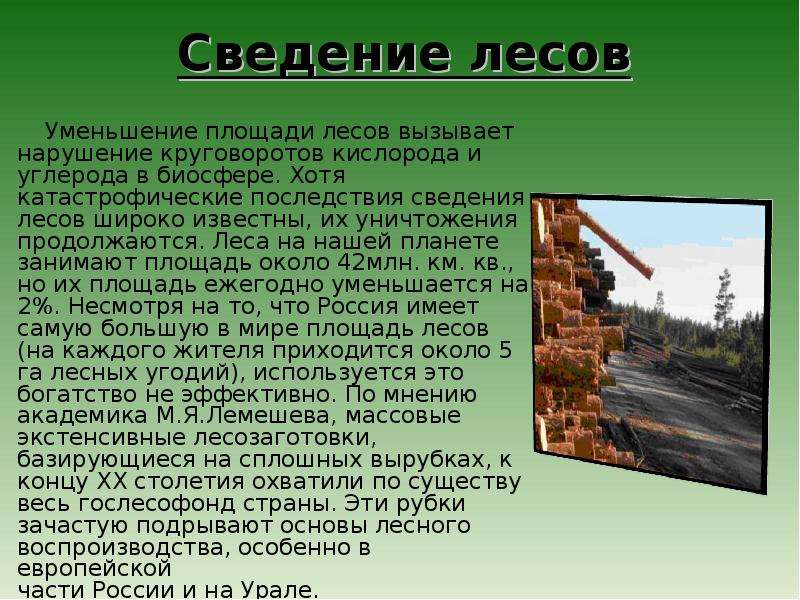 Процесс полного сведения. Последствия сведения лесов. Причины сведения лесов. Экологические проблемы леса. Сведение лесов.