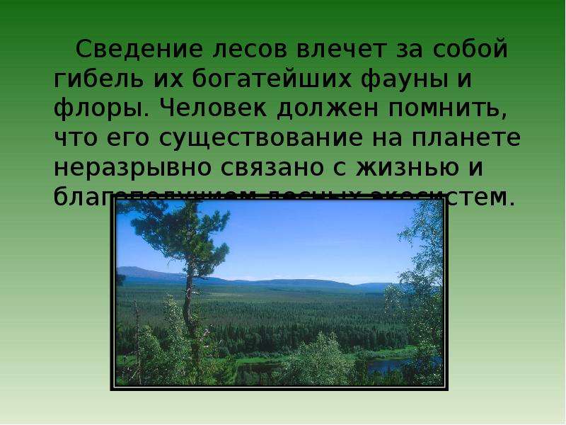 Сведение лесов в бассейнах рек приводит. Сведение лесов. Сведение лесов это кратко. Что значит сведение лесов. Сведение лесов таблица.