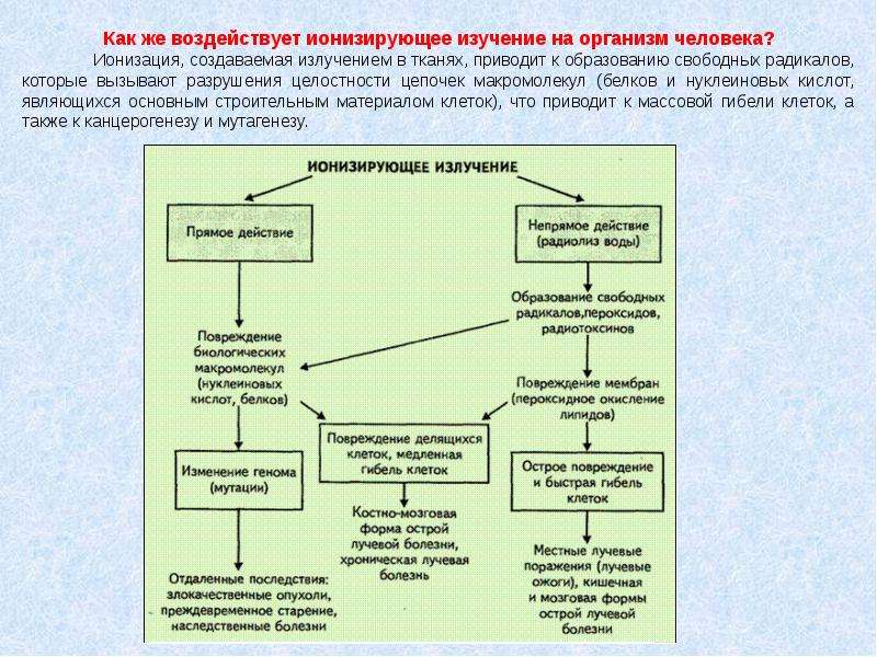 Влияние ионизирующего излучения на организм человека. Схема действия ионизирующего излучения на организм человека. Механизм действие ионизирующего излучения на ткани. Патогенез действия ионизирующего излучения на организм. .. Механизм влияния ионизирующего излучения на человека.