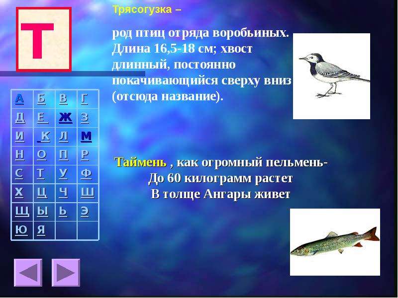 Роды птиц. Птицы какой род. Птичка какой род. Птицы женского рода. Какой род у слова птицы.