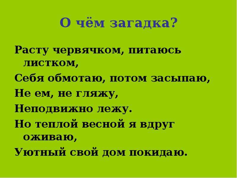 Загадки вырастают. В Берестов честное гусеничное презентация. Загадка в лесу вырос. Не едят не глядят неподвижно лежат весной оживают свой дом покидают. Загадка растет.